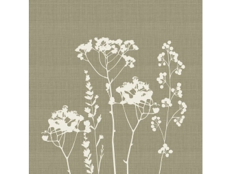 Diseño del Cojín Anna beige botánico