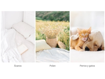 Protección frente a ácaros polen perros y gatos