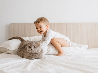Uso infantil de productos antialérgenos Velfont